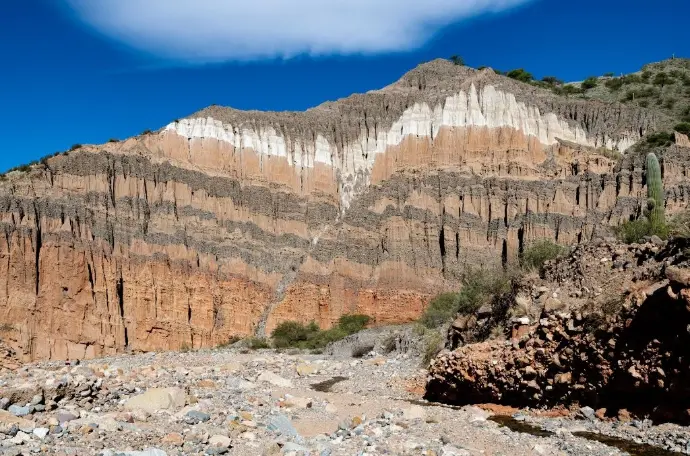 Geotechnical Site Investigation